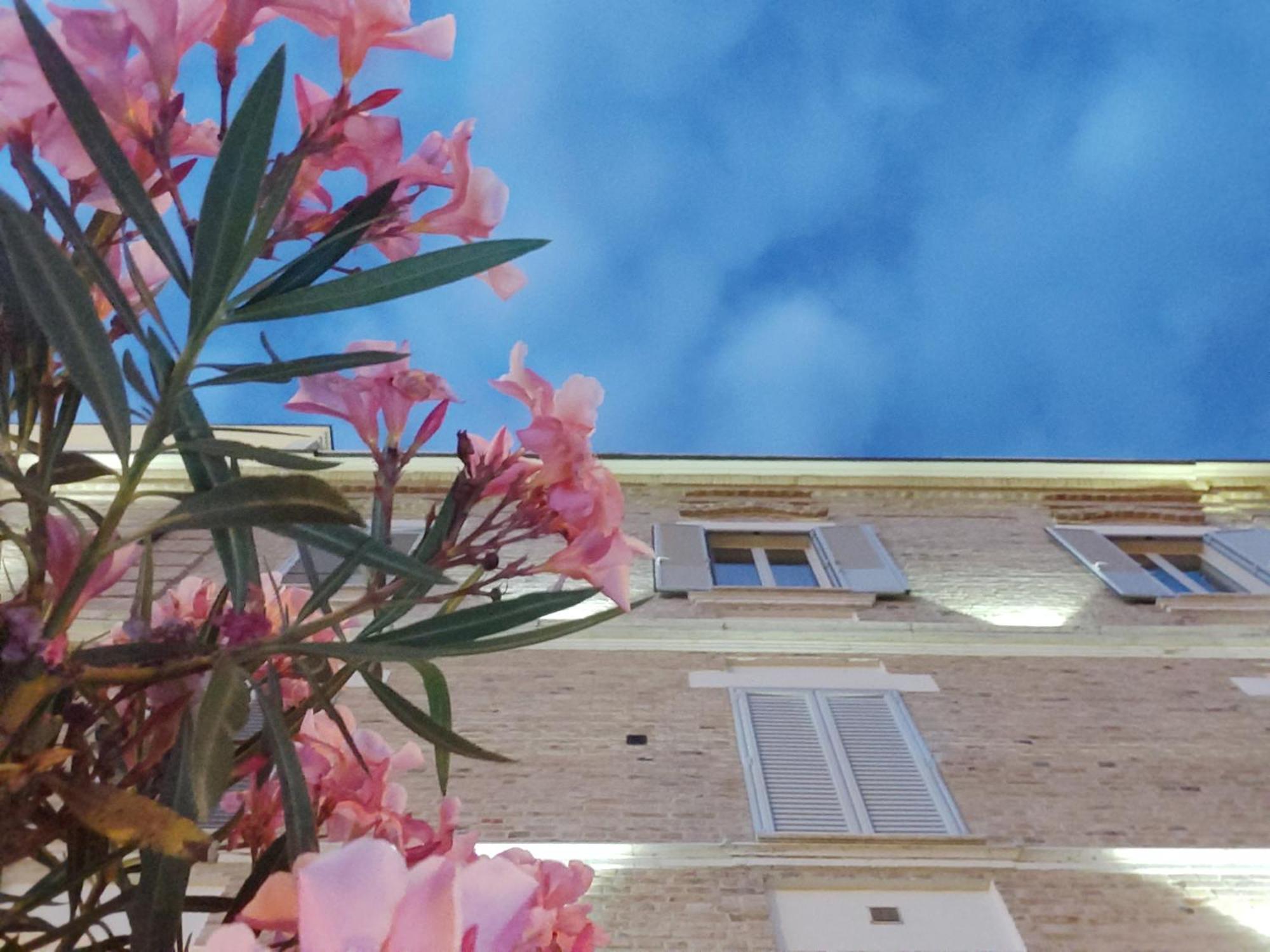 Villa Contessina Cossignano Luaran gambar